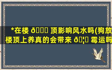 *
在楼 🐝 顶影响风水吗(狗放楼顶上养真的会带来 🦅 霉运吗)